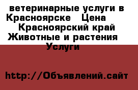 ветеринарные услуги в Красноярске › Цена ­ 1 - Красноярский край Животные и растения » Услуги   
